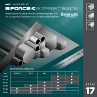 M51 BiFORCE EXPERT RACE